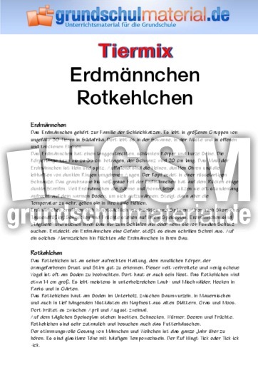Erdmännchen - Rotkehlchen.pdf